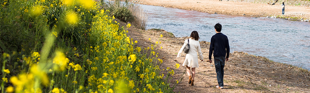 お見合いサポート